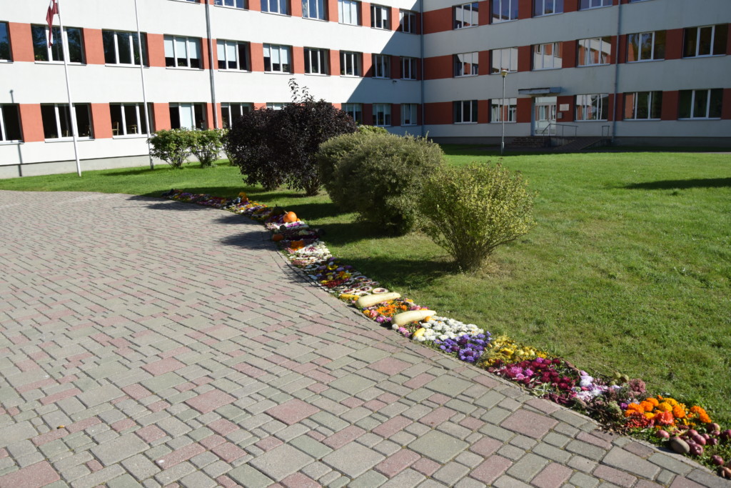 Staļģenes vidusskolai 95