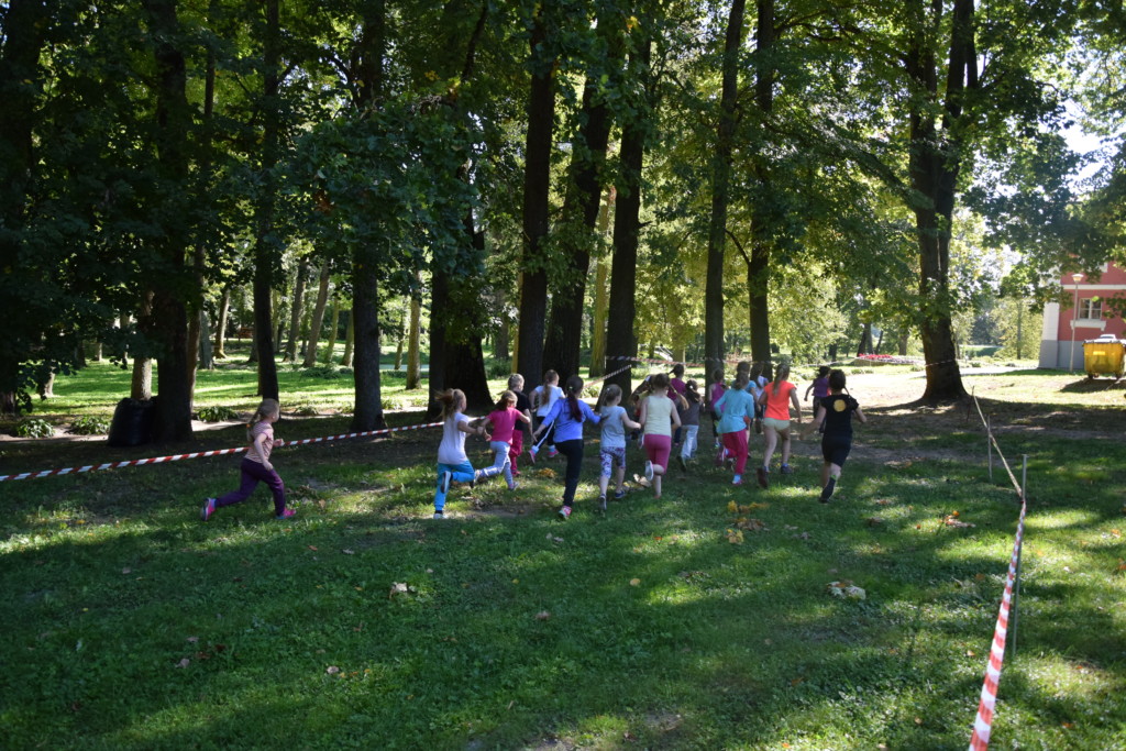 Rudens kross