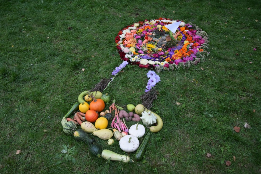 Rudens velšu izstāde 2017