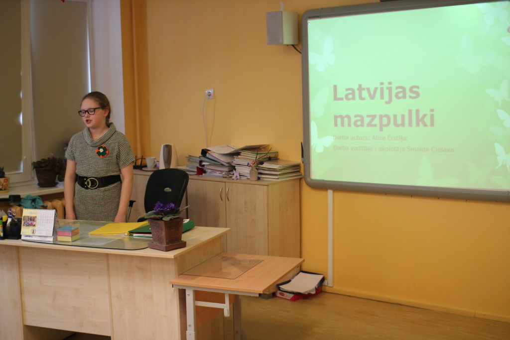 Staļģenes vidusskolas 2.-4.klašu projektu darbu skate.