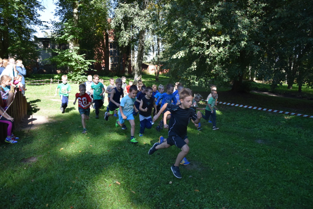 Rudens kross