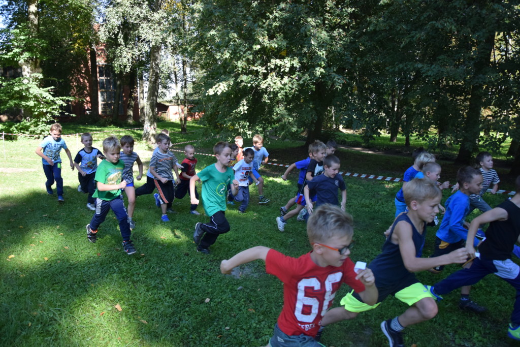 Rudens kross
