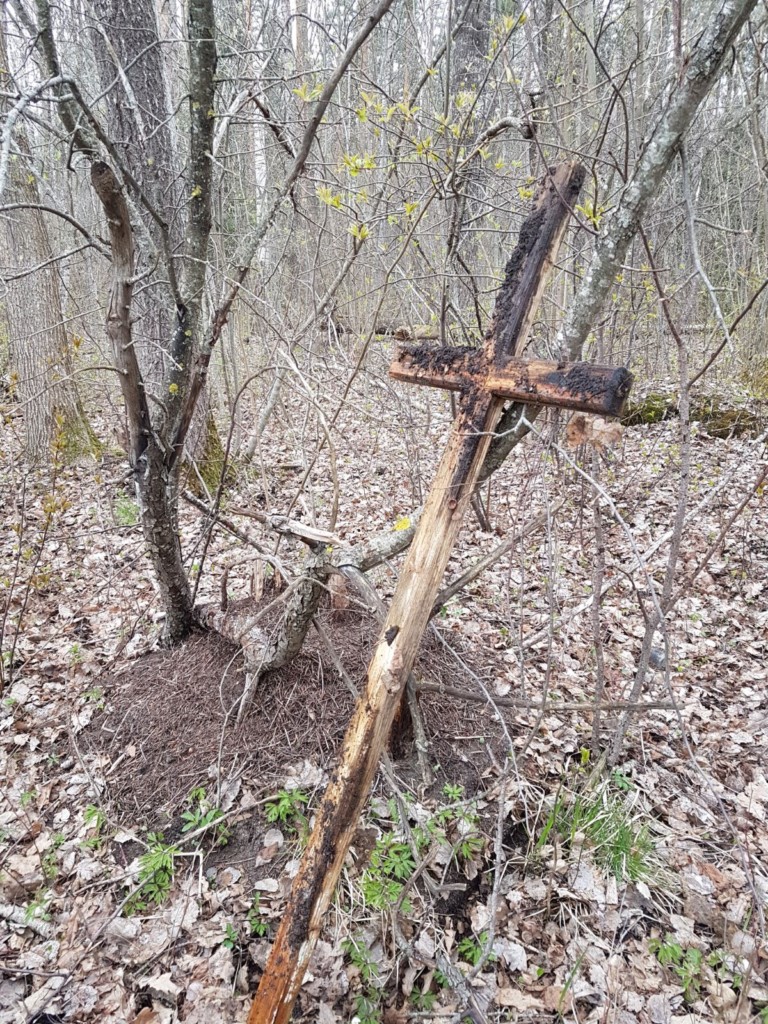 7.- 9.klašu skolēni talko!