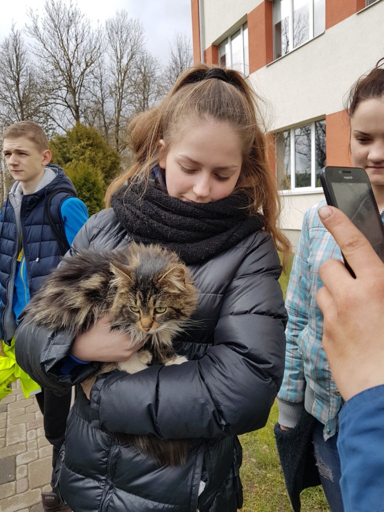 7.- 9.klašu skolēni talko!