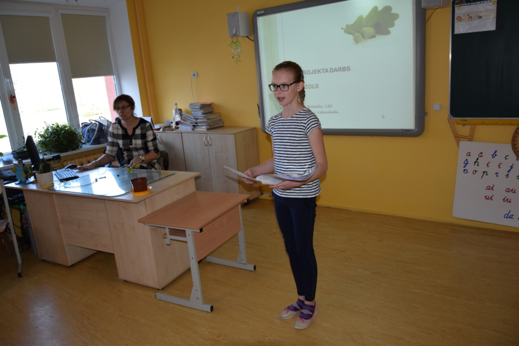 Staļģenes vidusskolas 2.-4.klašu projektu darbu skate.