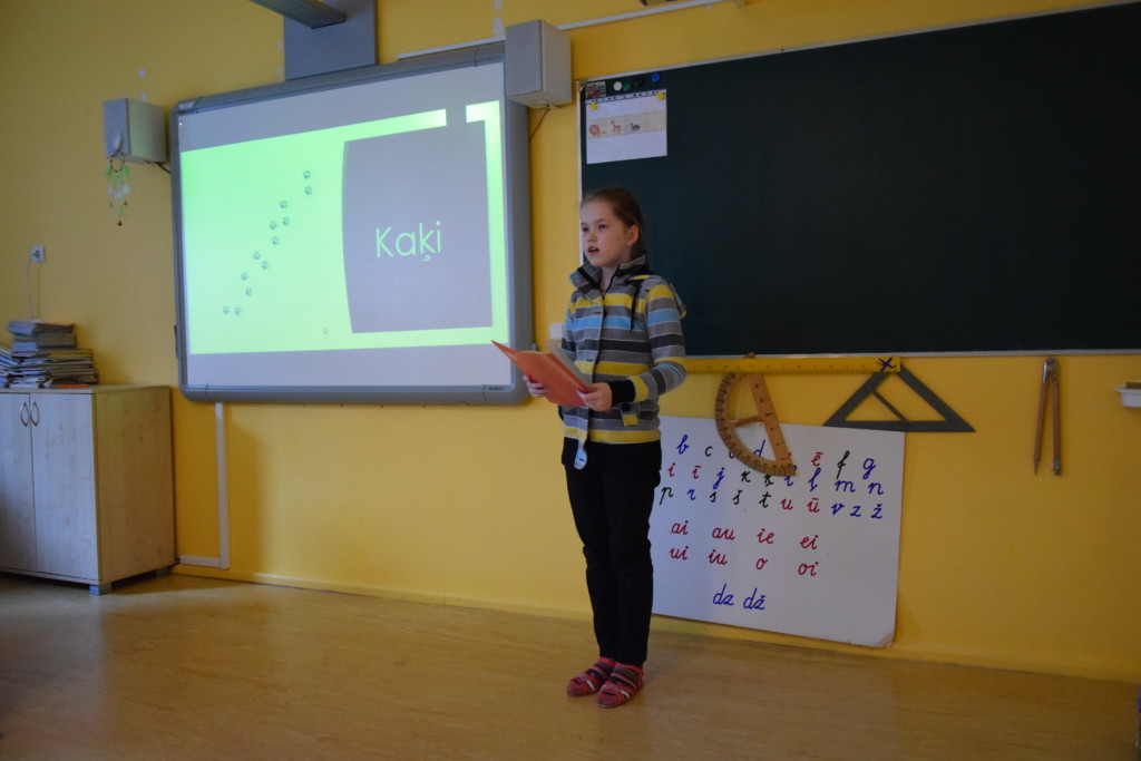 Staļģenes vidusskolas 2.-4.klašu projektu darbu skate.