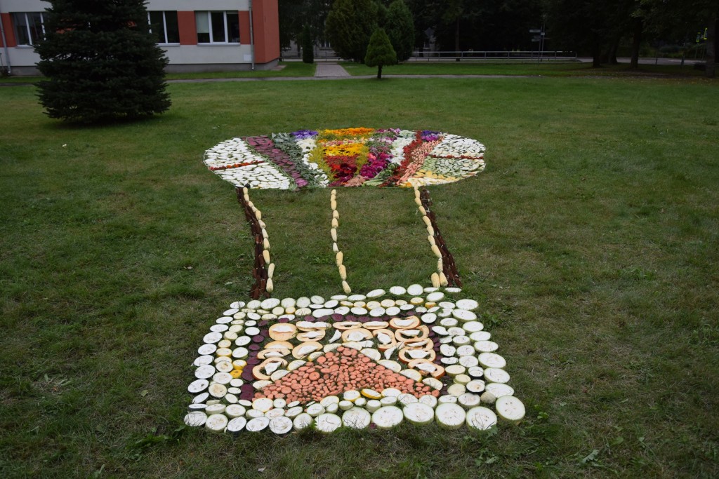 Rudens velšu izstāde 2017