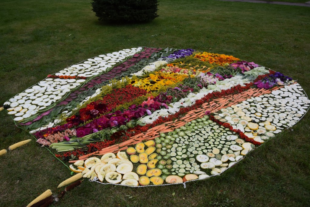 Rudens velšu izstāde 2017
